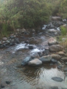 Fuzzy picture of the river :) 