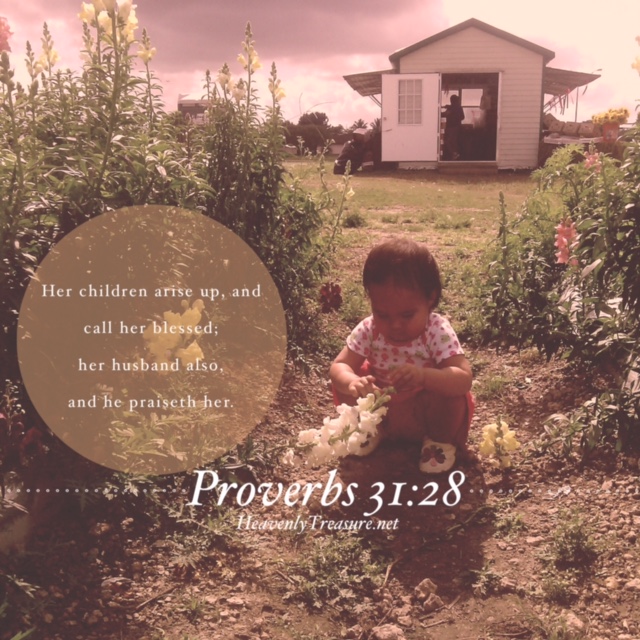 proverbs 